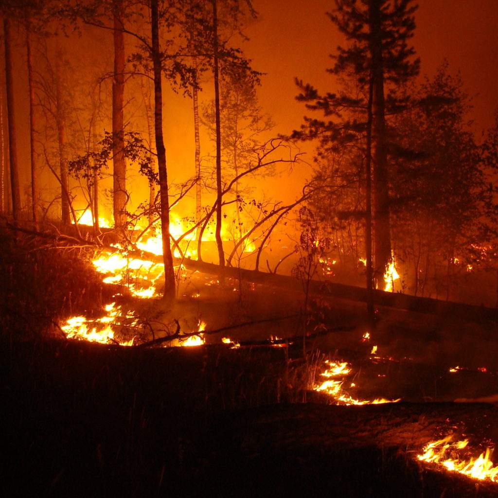 wildfire-2021-08-29-00-56-16-utc (1)