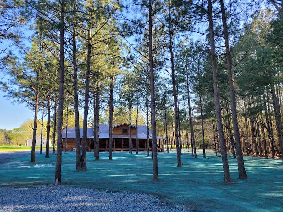How to care for a hydroseeded lawn. A large lawn with a fresh coat of hydroseed sprawls infront of a log cabin style home.