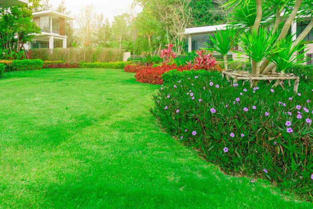 bermuda grass best grass seed for full sun