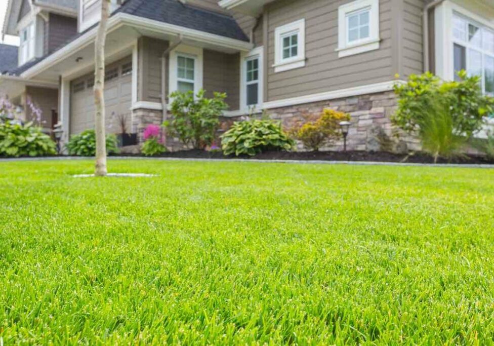 The cost to reseed a lawn. There is a nicely trimmed front yard with green grass in front of a house.